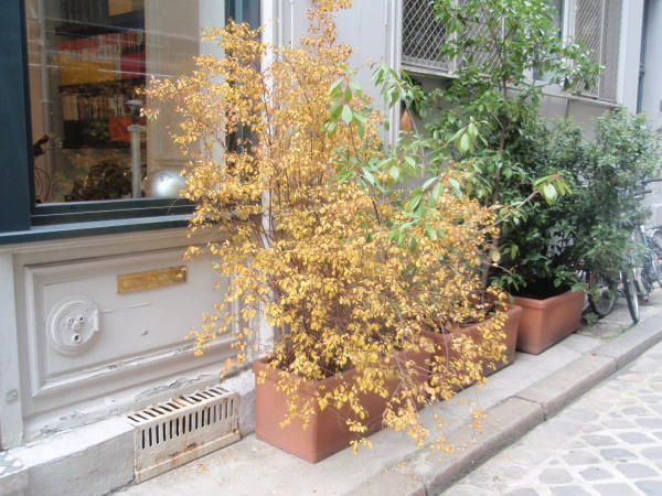 20101029_906 20101029_906